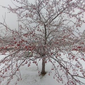 Meet your Posher, Lyle